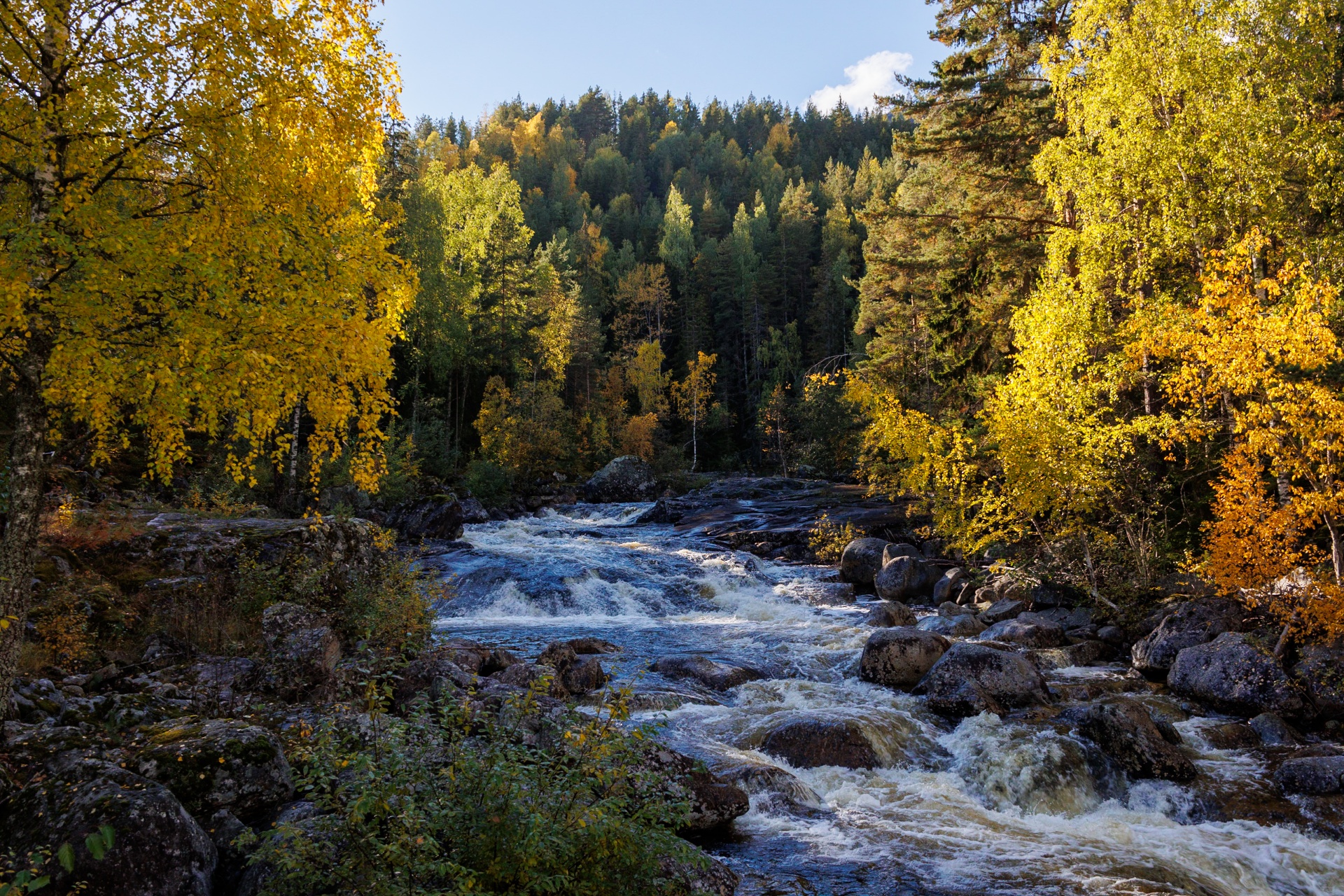 Ein Fluss zwischen vielen herbstlich gefärbten Bäumen